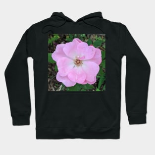 Light Pink Delicate Flower Photographic Image Hoodie